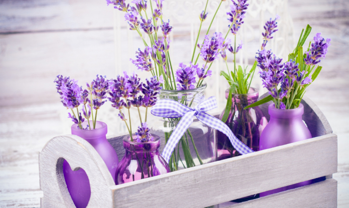 После недолгого плавания аргонавты прибыли к цветущему Лемносу